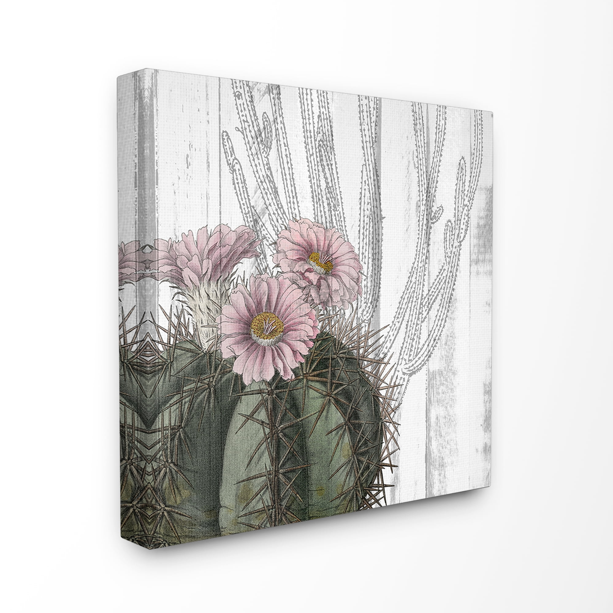 The Stupell Home Decor Cactus with Pink Blooming Flowers and Soft Grey Background Canvas Wall Art