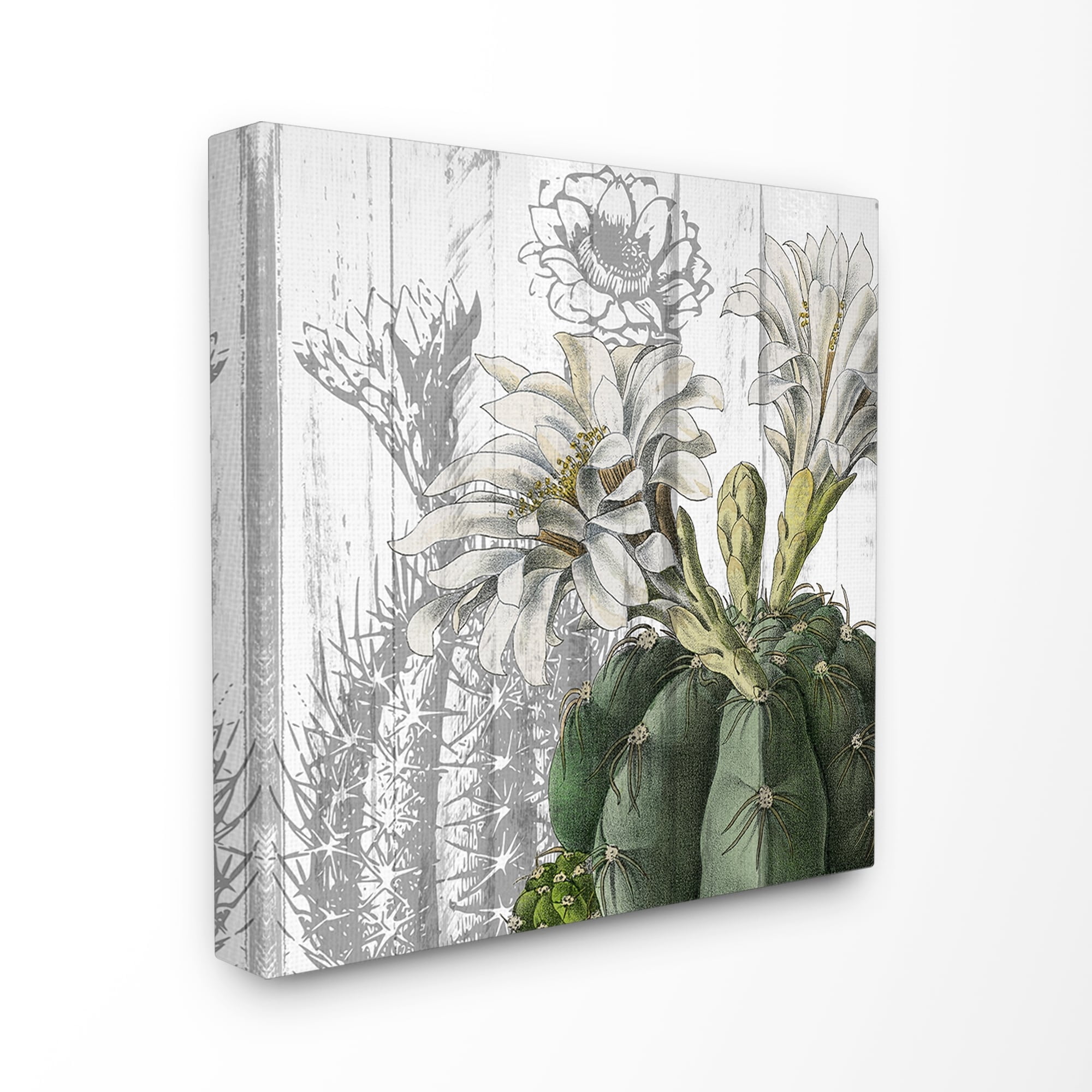 The Stupell Home Decor Cactus with White Blooming Flowers and Soft Grey Background Canvas Wall Art
