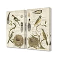 thumbnail image 1 of The Stupell Home Decor Collection Avian Journal Bird Illustrations 2pc Stretched Canvas Wall Art Set, 16 x 1.5 x 20, 1 of 2