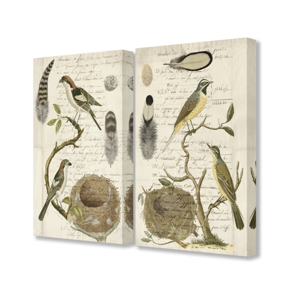 The Stupell Home Decor Collection Avian Journal Bird Illustrations 2pc Stretched Canvas Wall Art Set, 16 x 1.5 x 20