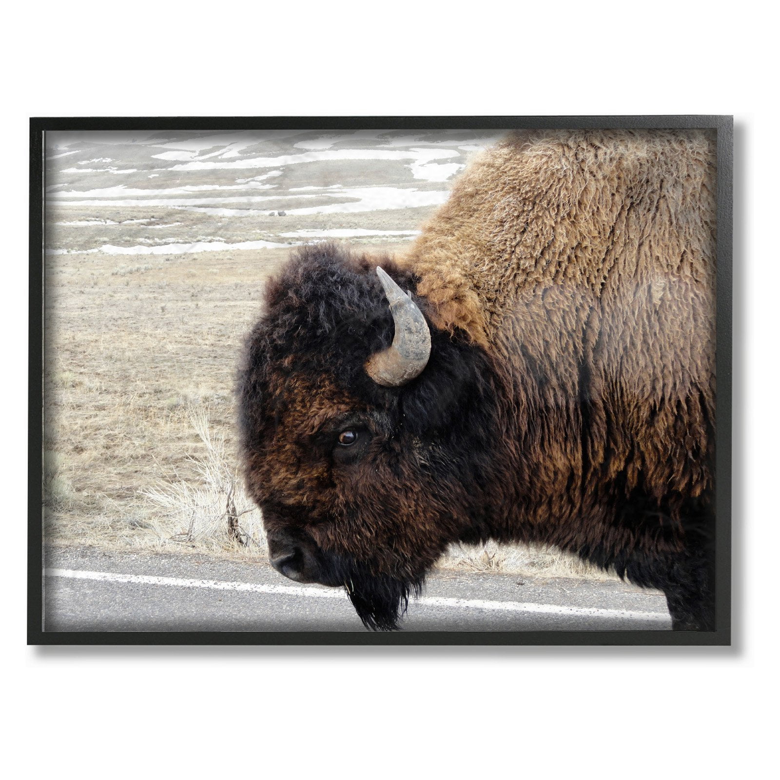 The Stupell Home Decor Collection Beautiful Buffalo Photography Framed Giclee Texturized Art