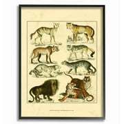 The Stupell Home Decor Collection Big Cats Wildlife Illustration Wall Art