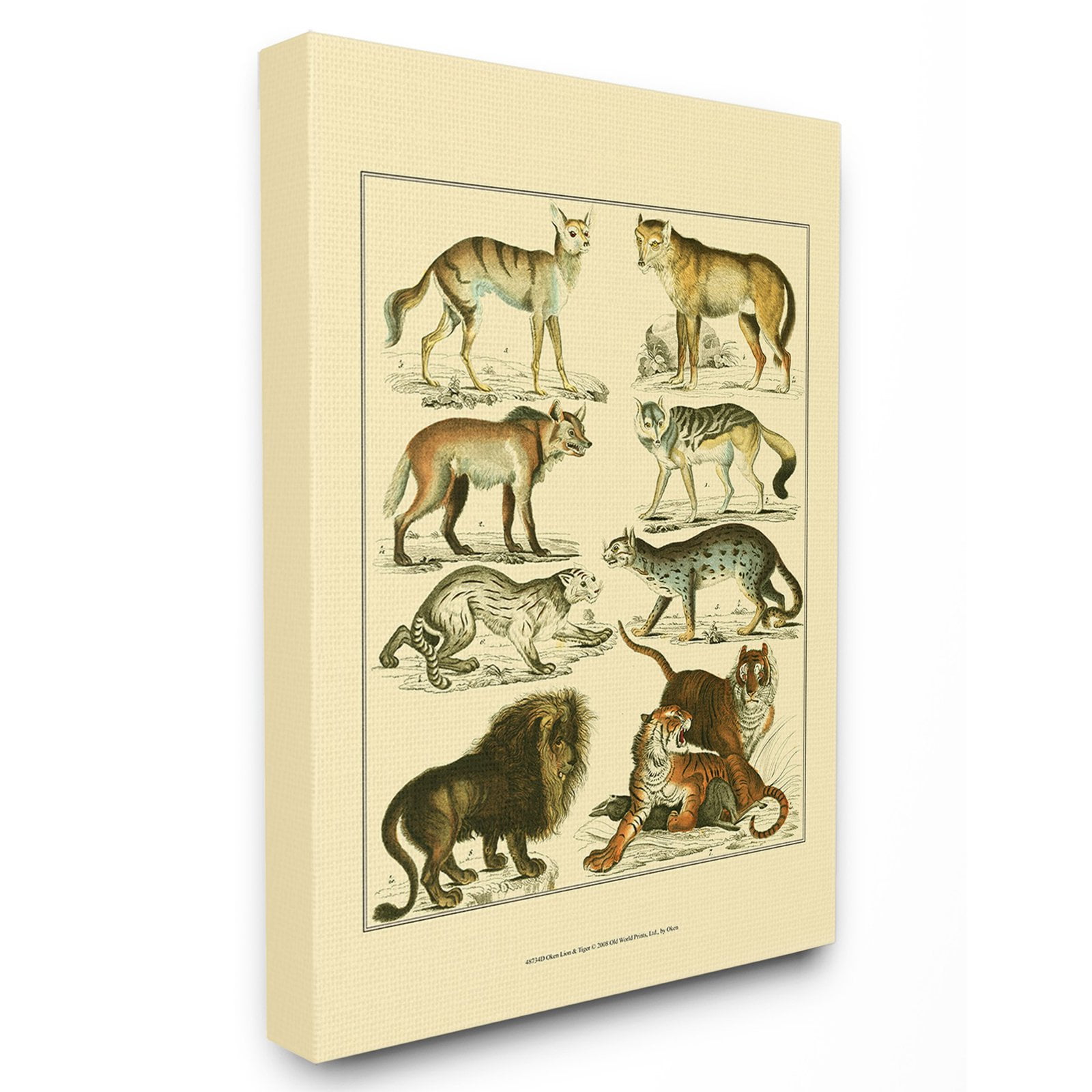 Vintage Ivory Wildlife Illustration Wall Art with Wooden Frame
