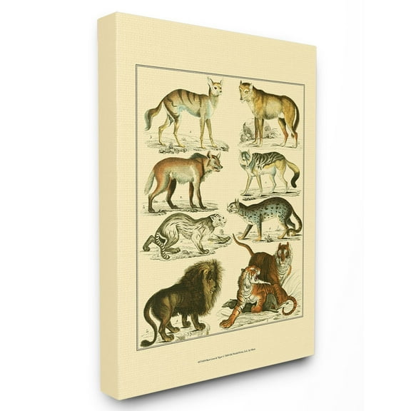 The Stupell Home Decor Collection Big Cats Wildlife Illustration Wall Art