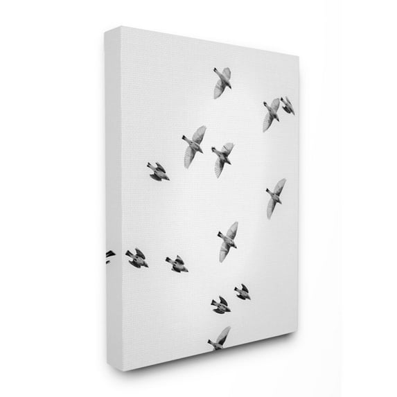 The Stupell Home Decor Collection Birds in Flight Black and White Photography Canvas Wall Art