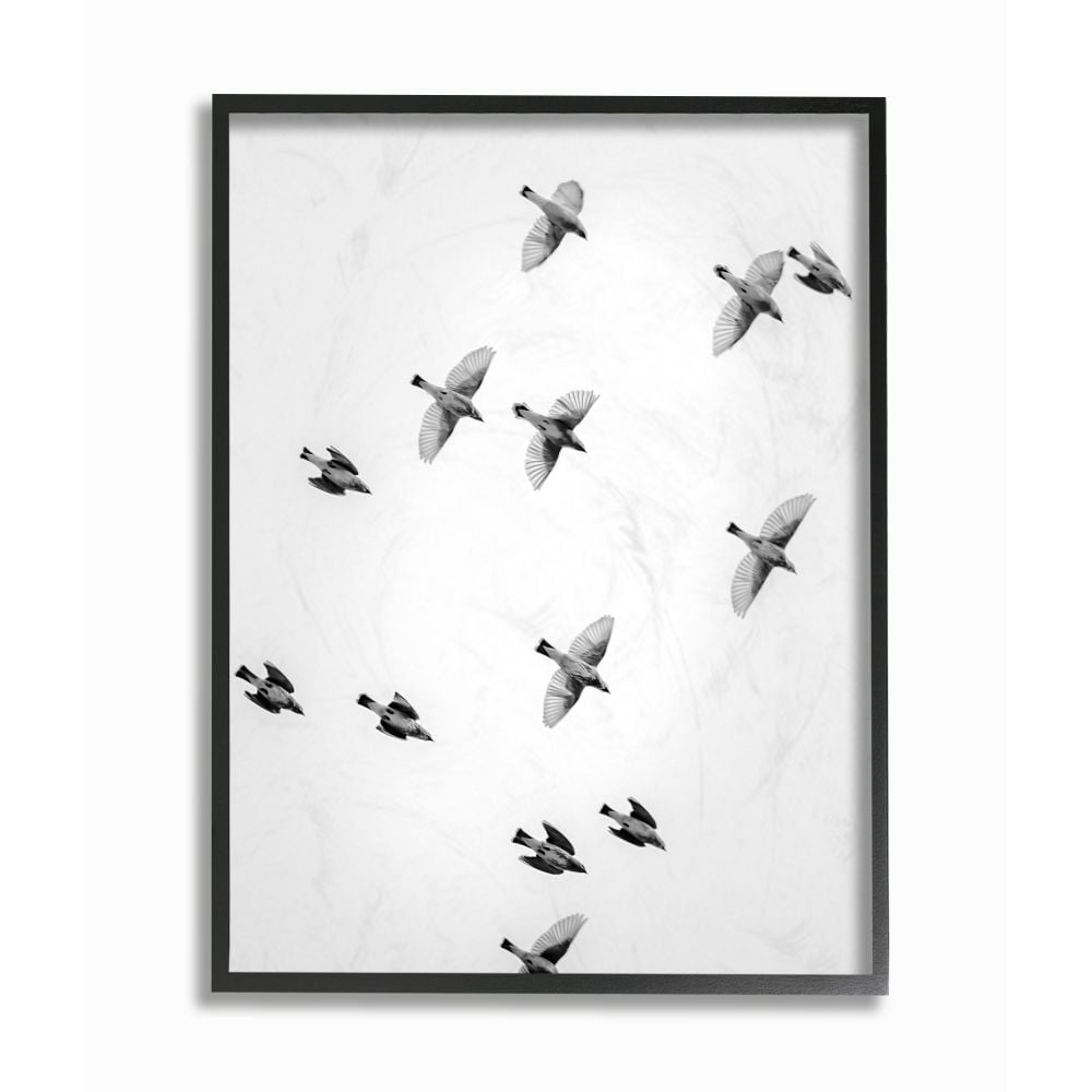 The Stupell Home Decor Collection Birds in Flight Black and White Photography Framed Giclee Texturized Art