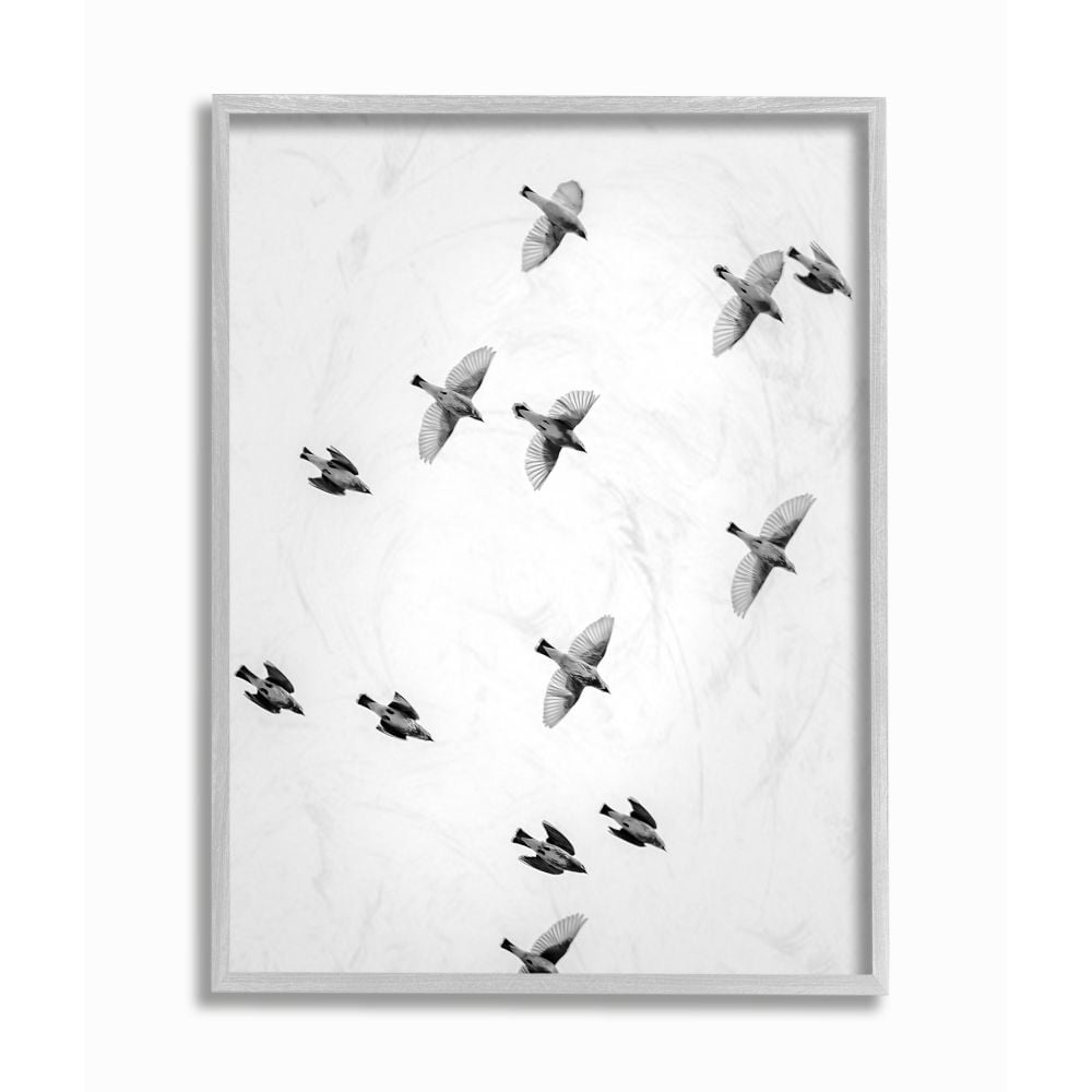 The Stupell Home Decor Collection Birds in Flight Black and White Photography Framed Giclee Texturized Art