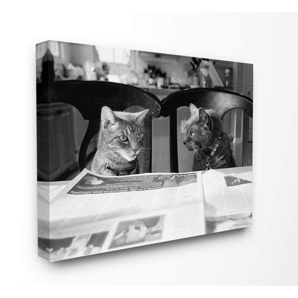 The Stupell Home Decor Collection Black And White Cats Gossiping Before Dinner Photograph Stretched Canvas Wall Art, 24 x 30