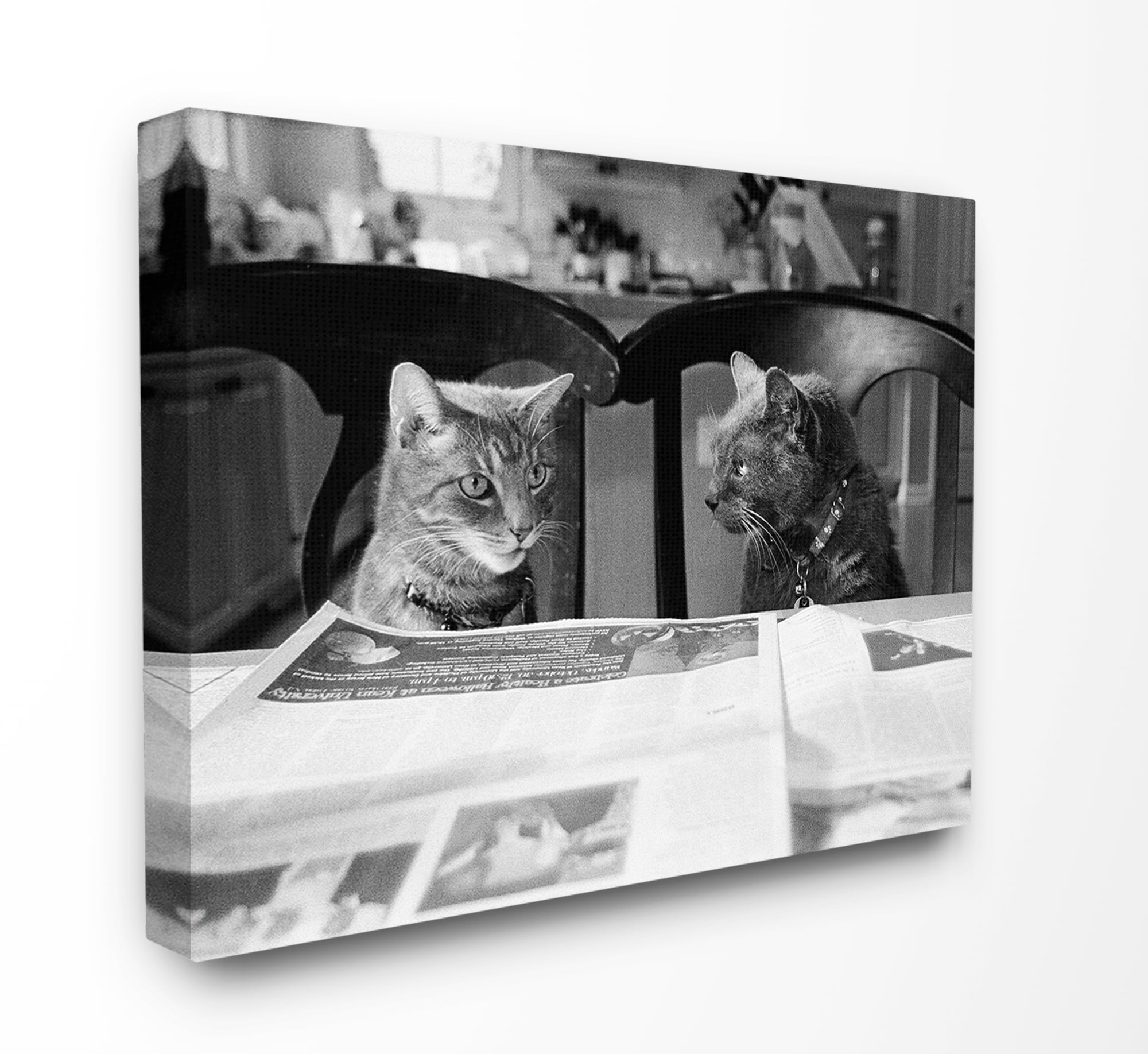 The Stupell Home Decor Collection Black And White Cats Gossiping Before Dinner Photograph Stretched Canvas Wall Art, 30 x 40