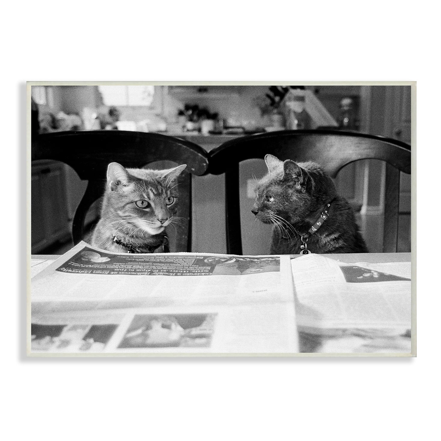 The Stupell Home Decor Collection Black And White Cats Gossiping Before Dinner Photograph Wall Plaque Art, 12.5 x 18.5
