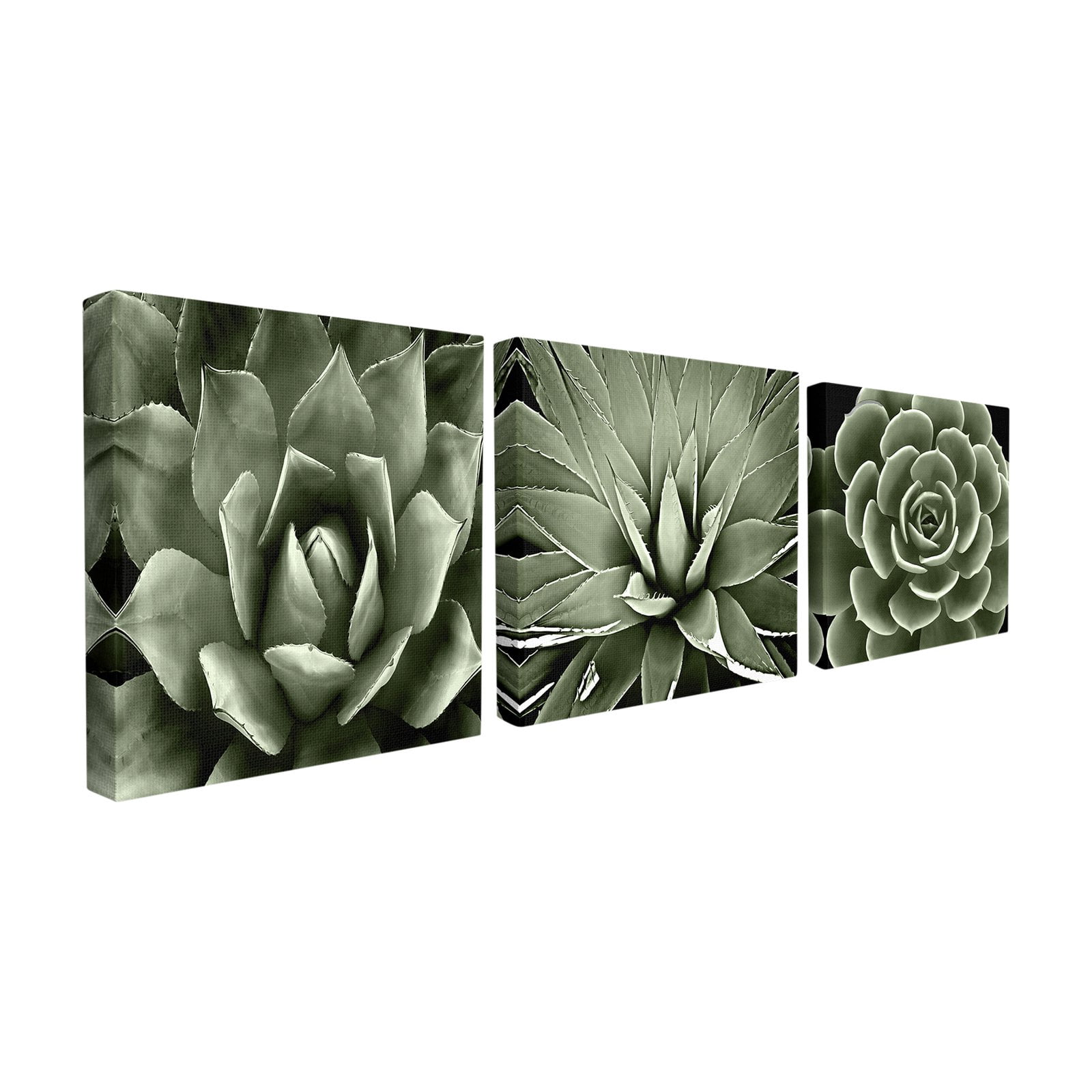 The Stupell Home Decor Collection Black and White Contrast Succulent Bloom Trio 3pc Wall Plaque Art Set, 12 x 0.5 x 12