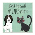thumbnail image 1 of The Stupell Home Decor Collection Blue Best Friends Furever Dog And Cat Illustration Wall Plaque Art, 12 x 12, 1 of 3