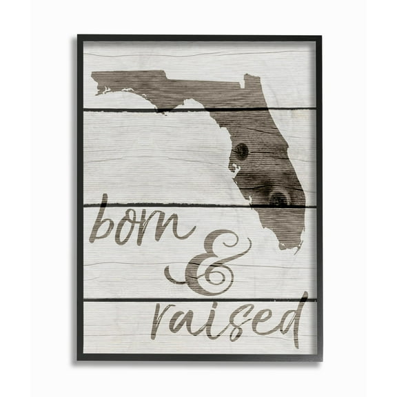 Stupell  Born And Raised Floriday Framed Giclee Texturized Art 16 x 20