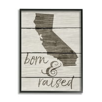 The Stupell Home Decor Collection Born And Raised Framed Wall Art