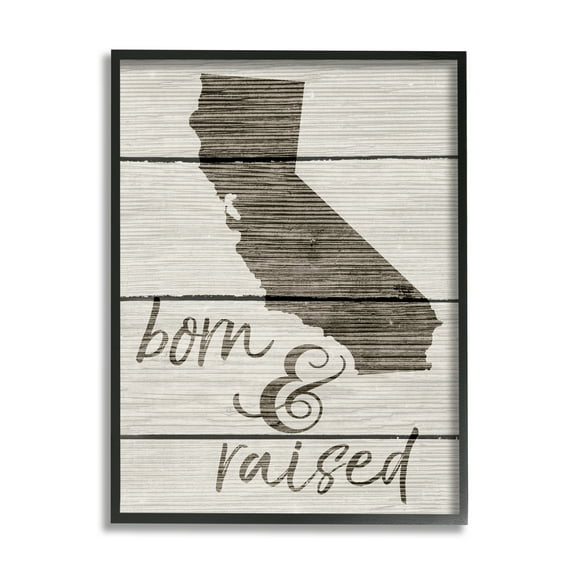 The Stupell Home Decor Collection Born And Raised Framed Wall Art