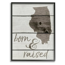 The Stupell Home Decor Collection Born And Raised Illinois Framed Wall Art