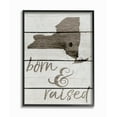 thumbnail image 1 of The Stupell Home Decor Collection Born And Raised New York State Framed Wall Art, 1 of 8