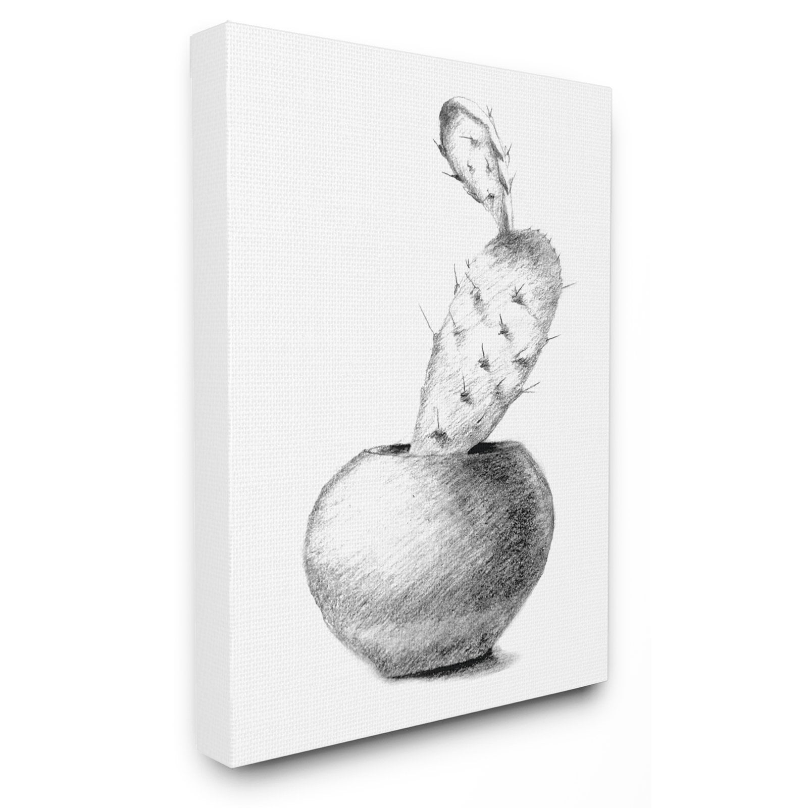 The Stupell Home Decor Collection Cactus Graphite Drawing Wall Art