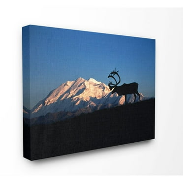 The Stupell Home Decor Collection Caribou in front of Mt. McKinley Canvas Wall Art