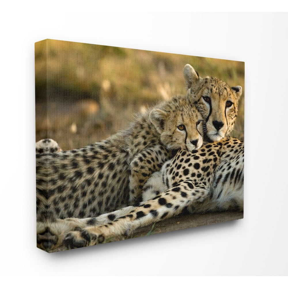 The Stupell Home Decor Collection Cheetah Family Mother with Cub Canvas Wall Art