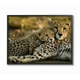 thumbnail image 1 of The Stupell Home Decor Collection Cheetah Family Mother with Cub Framed Giclee Texturized Art, 1 of 8