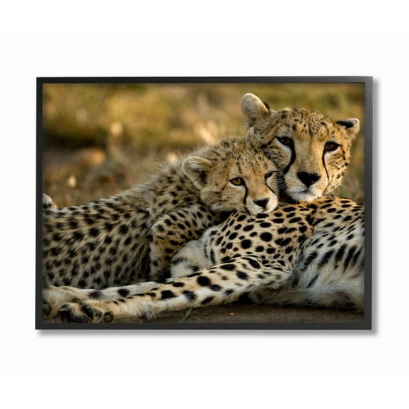 The Stupell Home Decor Collection Cheetah Family Mother with Cub Framed Giclee Texturized Art