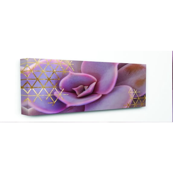 The Stupell Home Decor Collection Close Up Pink Succulent With Gold Patterns Photography Canvas Wall Art