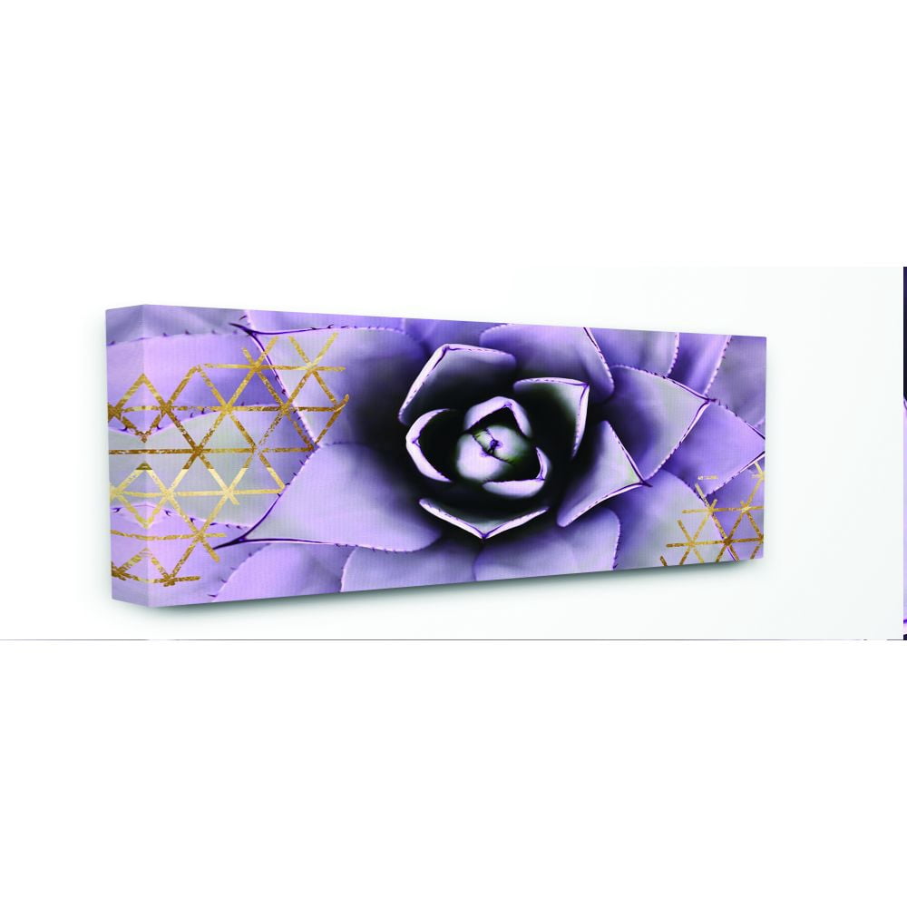 The Stupell Home Decor Collection Close Up Purple Succulent With Gold Patterns Photography Canvas Wall Art