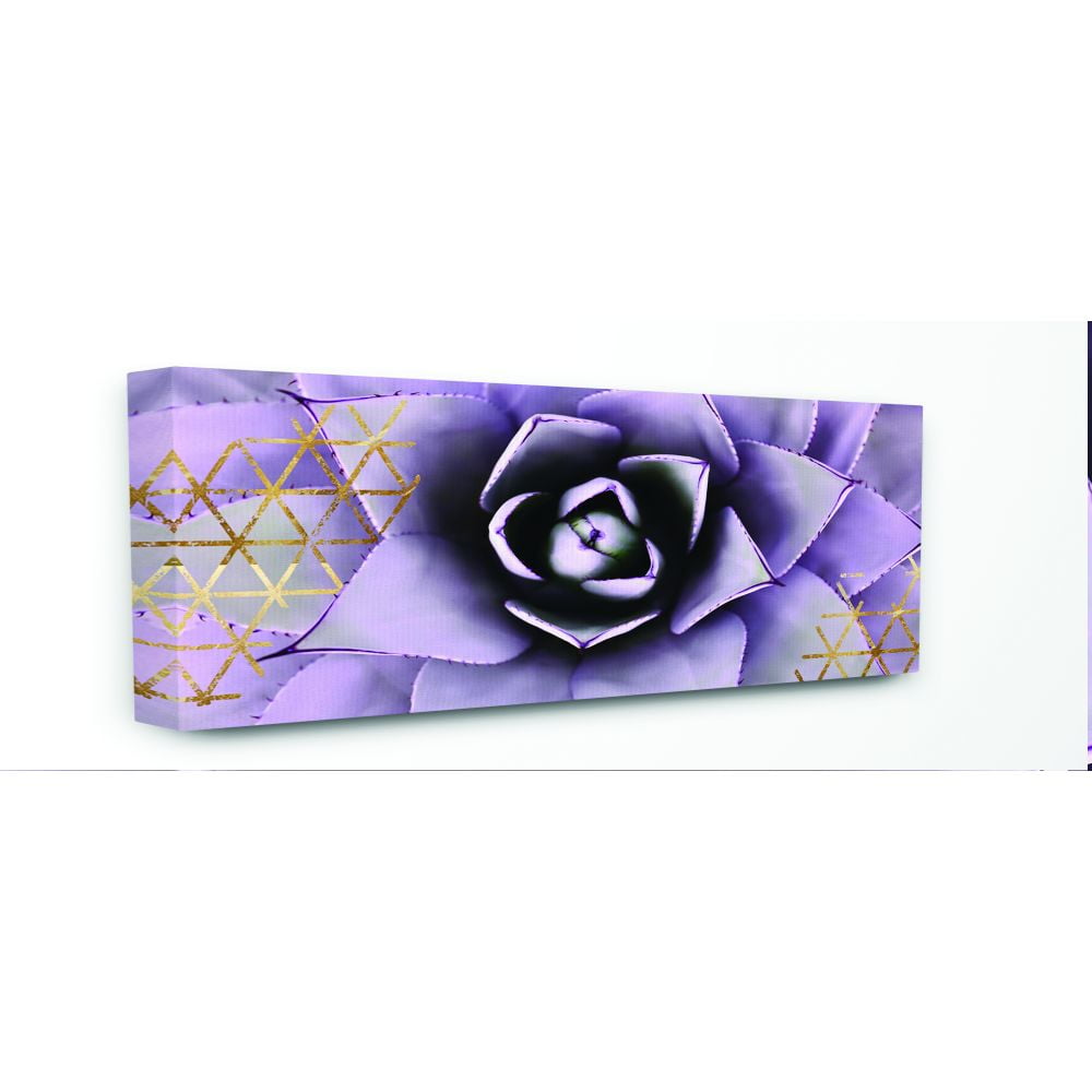 The Stupell Home Decor Collection Close Up Purple Succulent With Gold Patterns Photography Canvas Wall Art