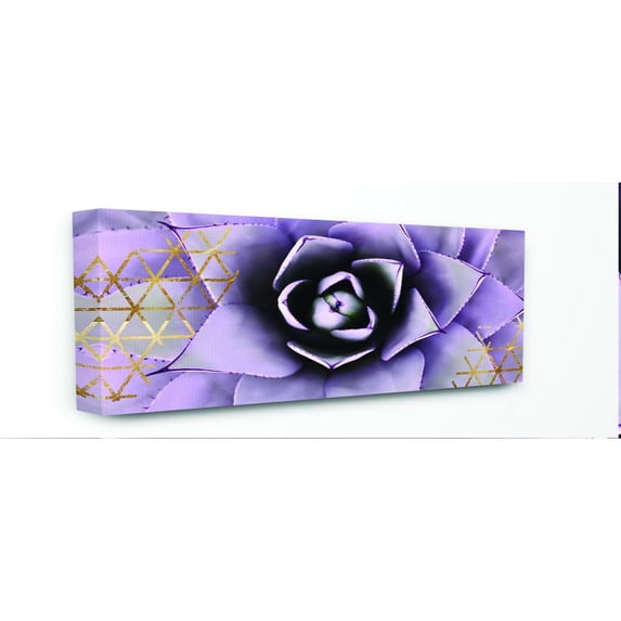 The Stupell Home Decor Collection Close Up Purple Succulent With Gold Patterns Photography Canvas Wall Art