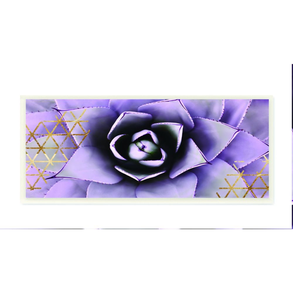 The Stupell Home Decor Collection Close Up Purple Succulent With Gold Patterns Photography Wood Wall Art