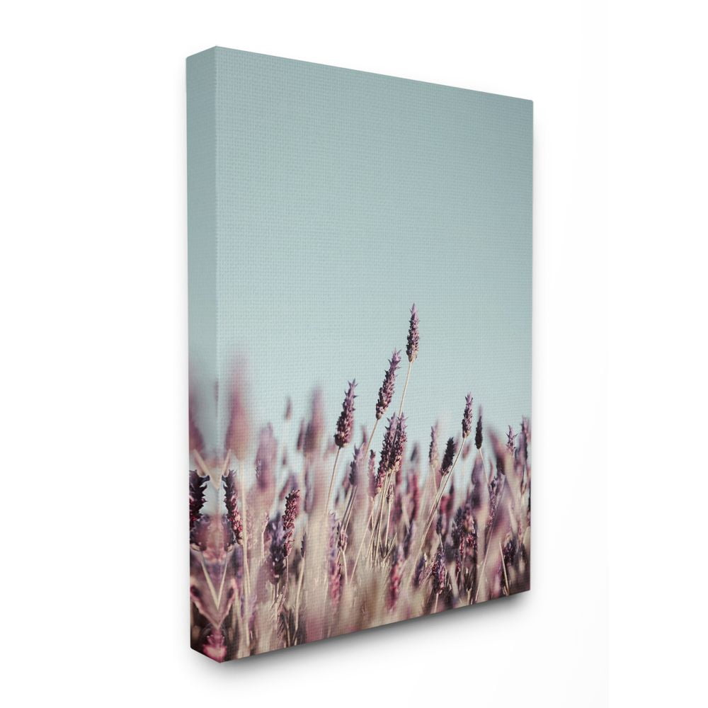 The Stupell Home Decor Collection Close Up of Field Plants Photography Canvas Wall Art