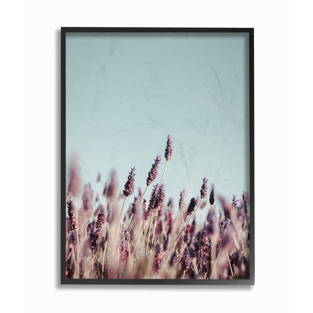 The Stupell Home Decor Collection Close Up of Field Plants Photography Framed Giclee Texturized Art