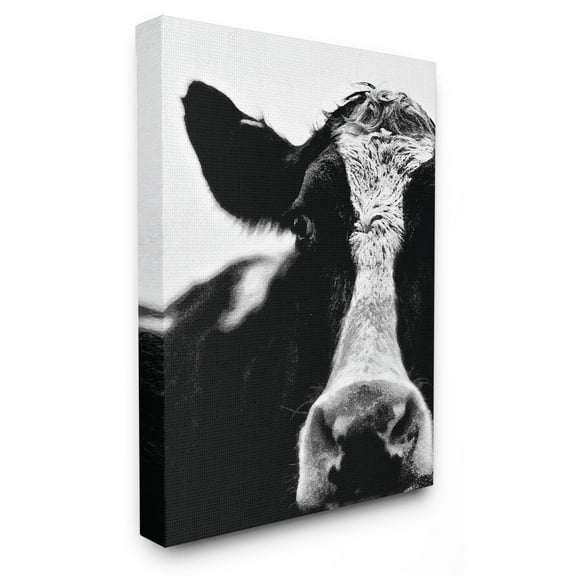 The Stupell Home Decor Collection Cow Black And White Close Up Wall Art