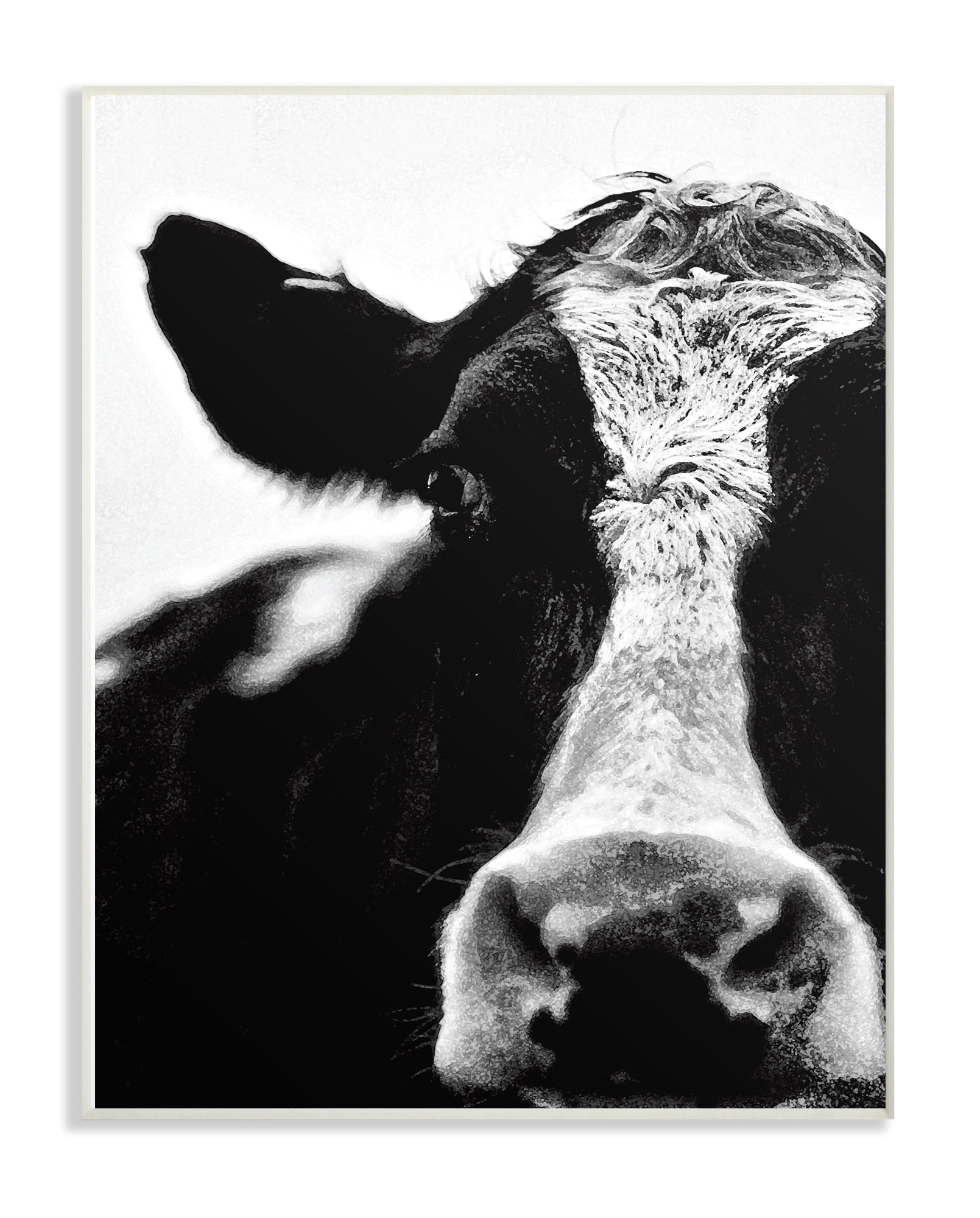 Black and White Cow Close-Up Wood Wall Art