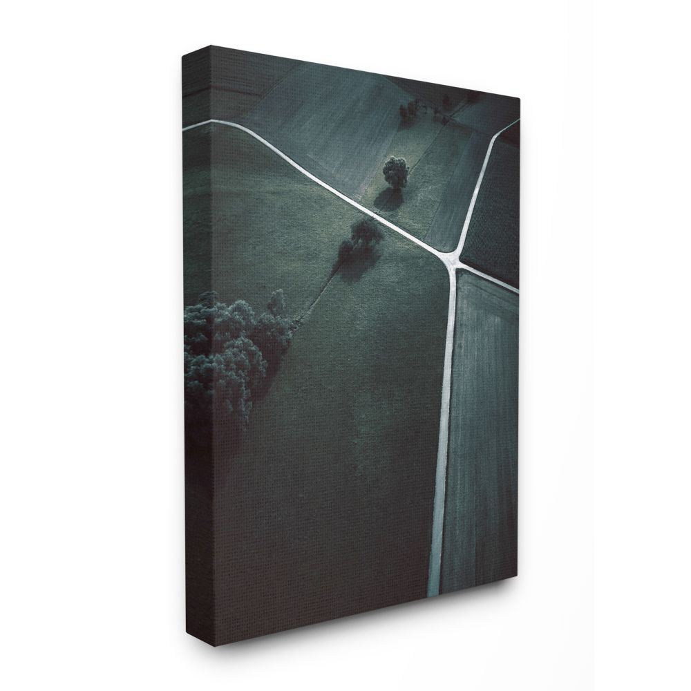 The Stupell Home Decor Collection Crossroads Landscape Photography Canvas Wall Art