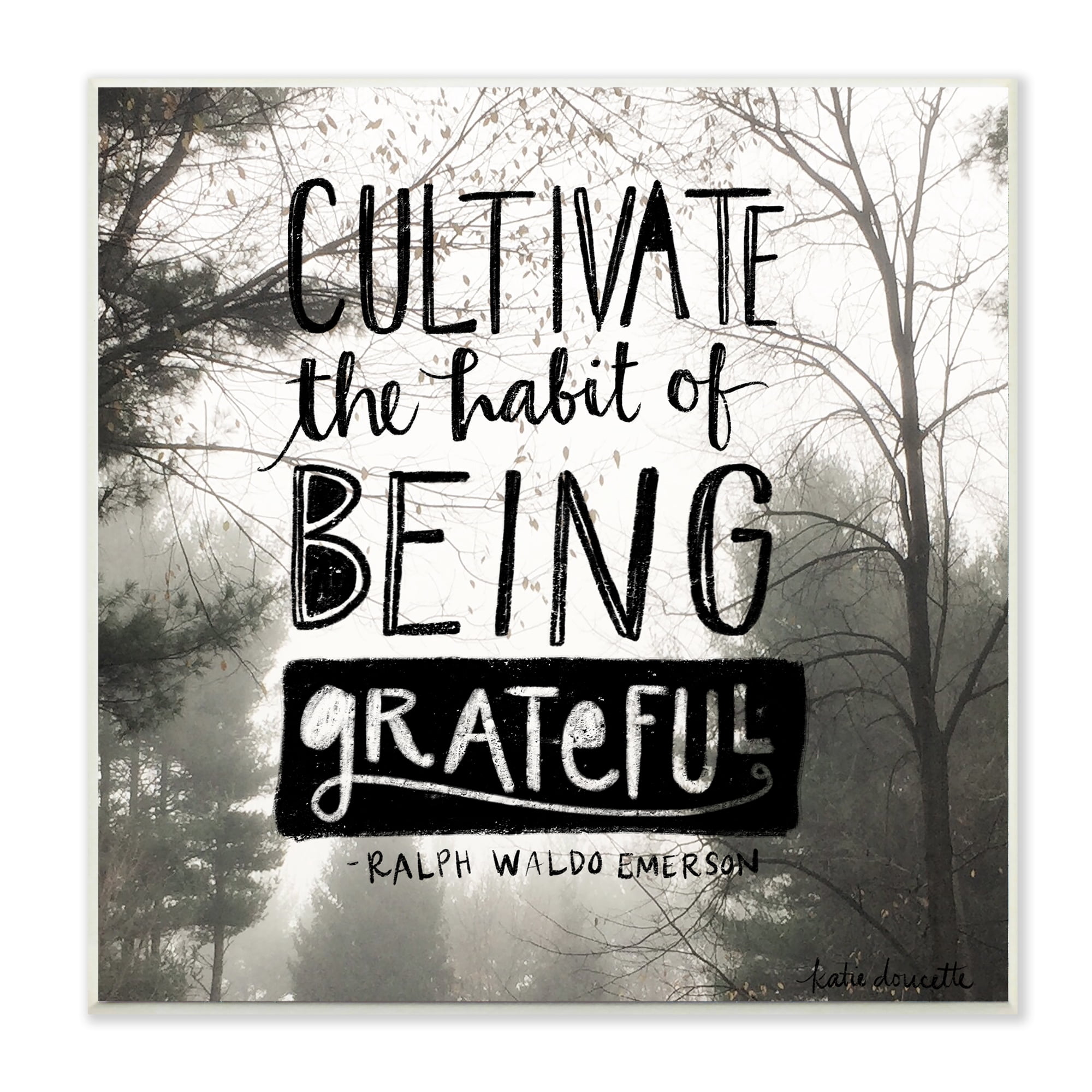 The Stupell Home Decor Collection Cultivate Being Greatful Foggy Landscape Wall Plaque Art, 12 x 0.5 x 12
