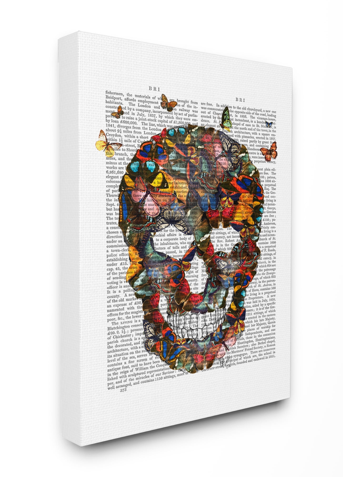 The Stupell Home Decor Collection Dark Rainbow Skull of Butterflies on a Book Page Oversized Stretched Canvas Wall Art, 24 x 1.5 x 30