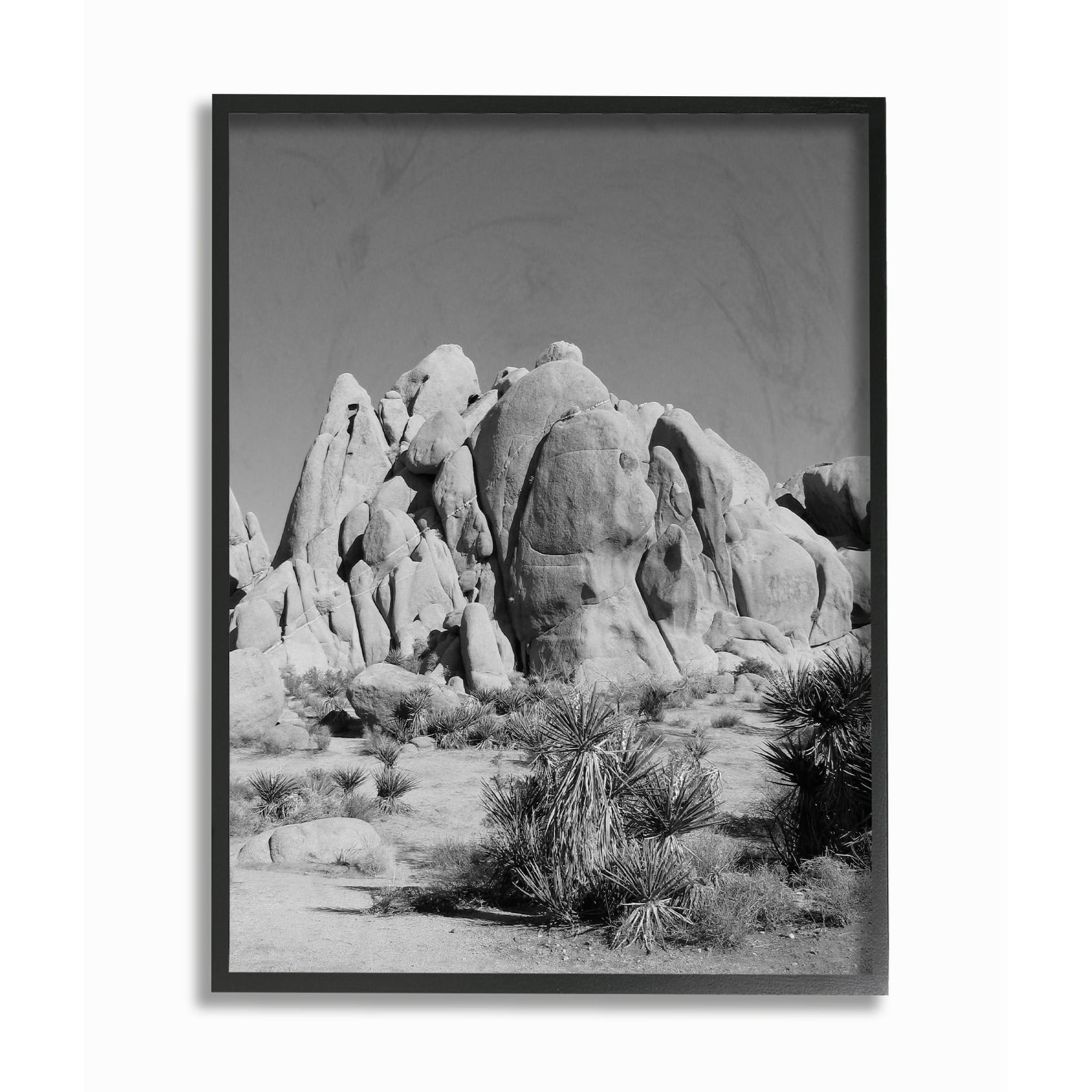 Stupell Desert Landscape Photography Framed Giclee Texture Art 16 x 20