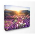 thumbnail image 1 of The Stupell Home Decor Collection Dune Wildflowers at Sunset Canvas Wall Art, 1 of 4