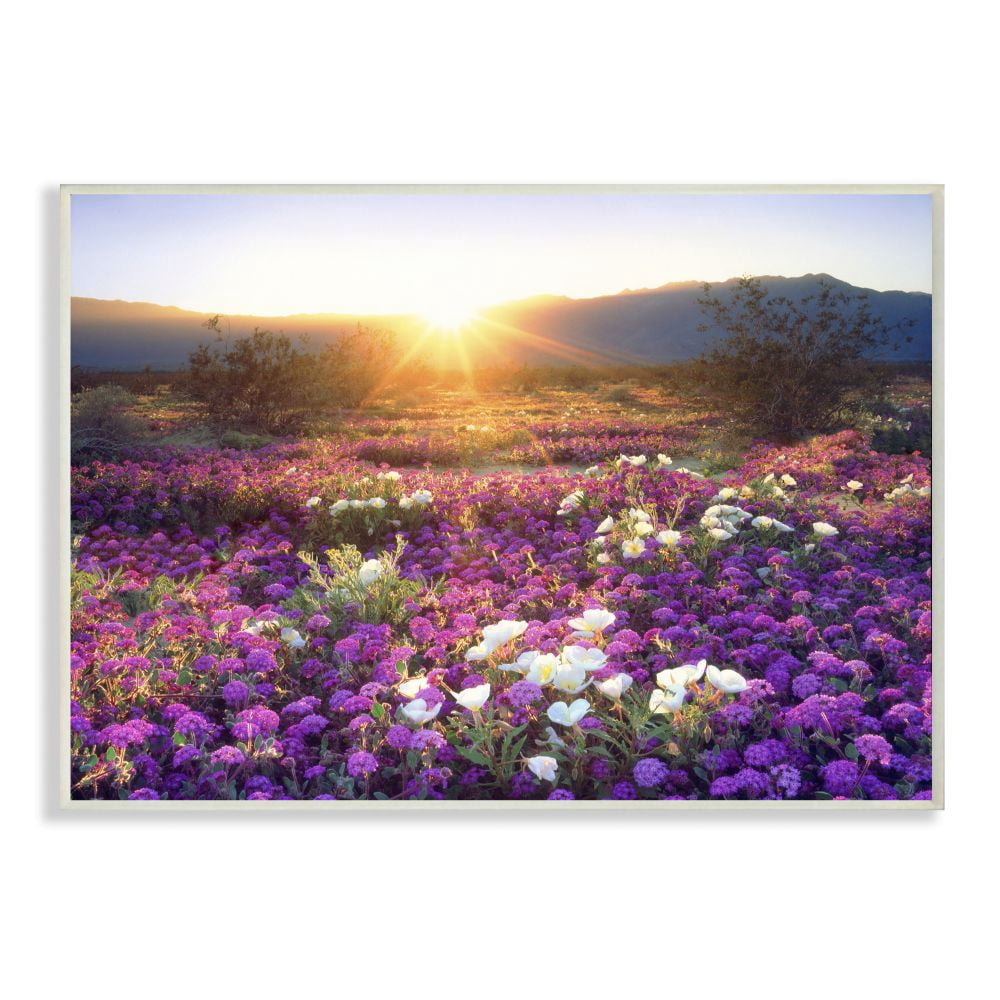 The Stupell Home Decor Collection Dune Wildflowers at Sunset Wood Wall Art
