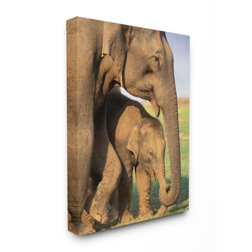 The Stupell Home Decor Collection Elephant Family Mother with Child Canvas Wall Art