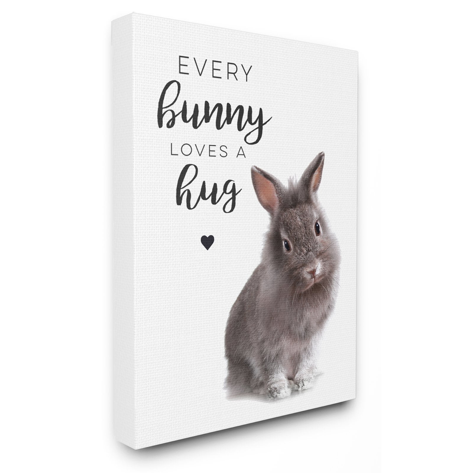 The Stupell Home Decor Collection Every Bunny Loves A Hug Wall Art