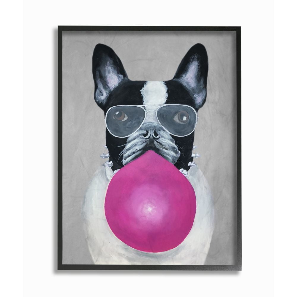 French Bulldog with Bubblegum and Glasses Framed Canvas Art, 11 x 14