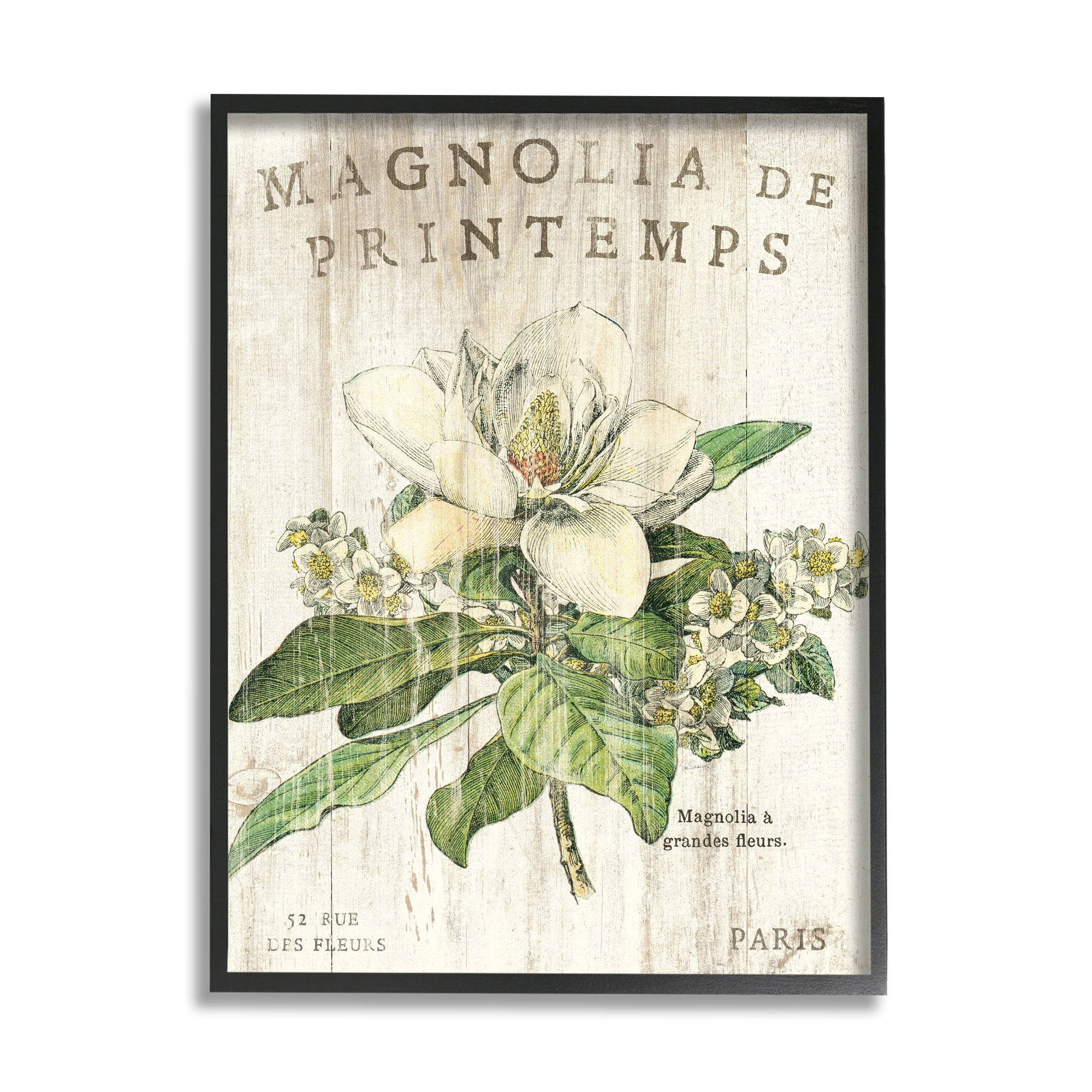 Vintage Magnolia Blossom Canvas Print for Kids Nursery