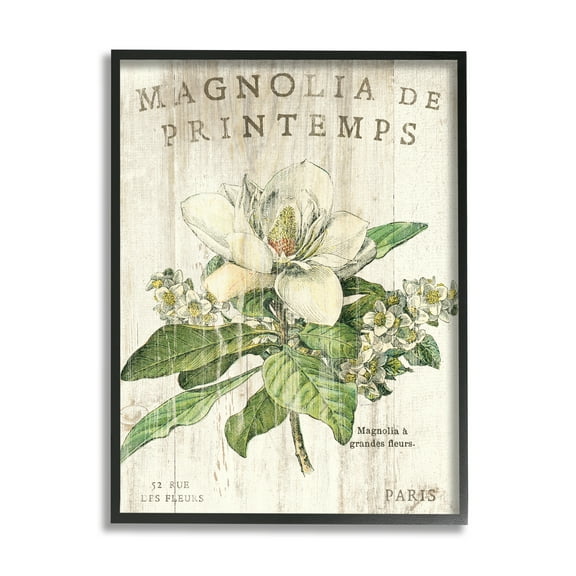The Stupell Home Decor Collection French Magnolias In Spring Wall Art
