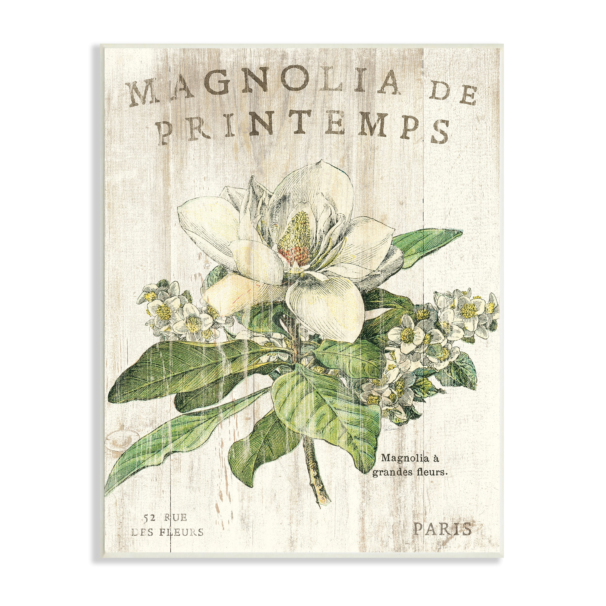 French Magnolia Spring Printed MDF Wood Wall Art, 10x15