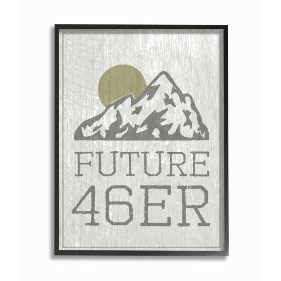 Stupell Future 46er Hiking Adirondacks Framed Giclee Texturized Art 11 x 14
