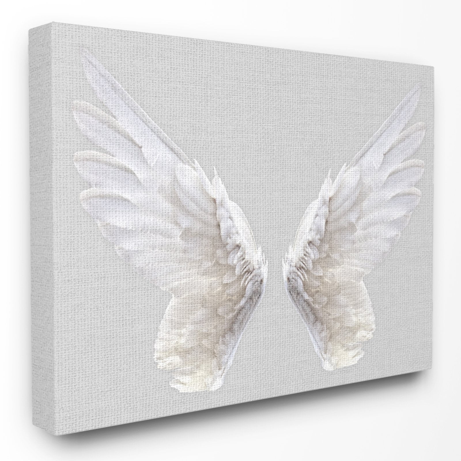16" x 20" Gray and White Feathered Wings Canvas Art