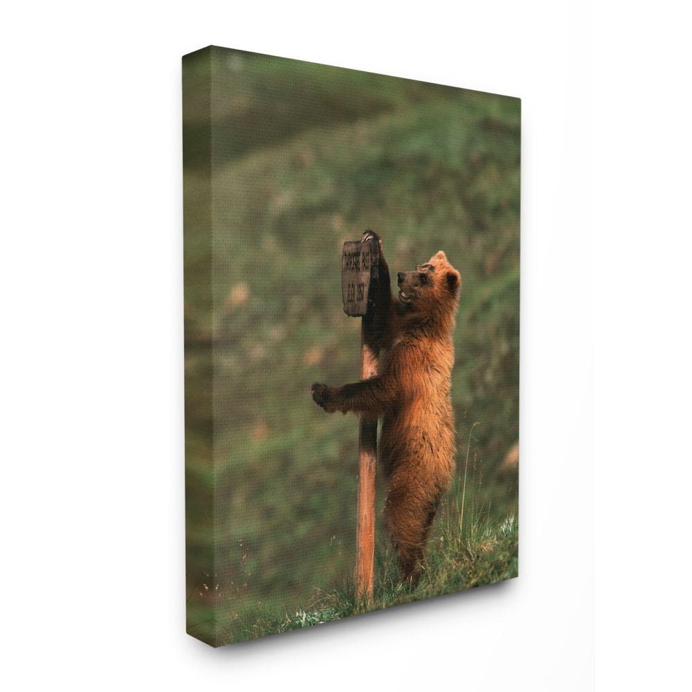 The Stupell Home Decor Collection Grizzly Bear Cub Scratching Park Sign Canvas Wall Art
